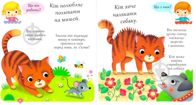 Книга Эмили Бомон «Хто це? Котики» 978-966-10-5137-8 - фото 3