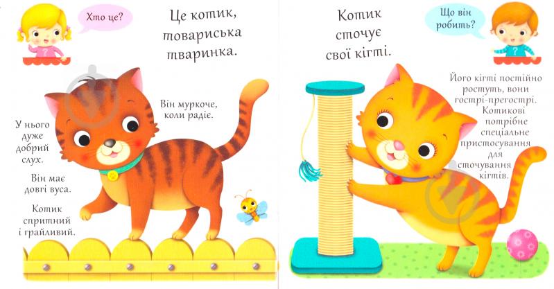 Книга Эмили Бомон «Хто це? Котики» 978-966-10-5137-8 - фото 2