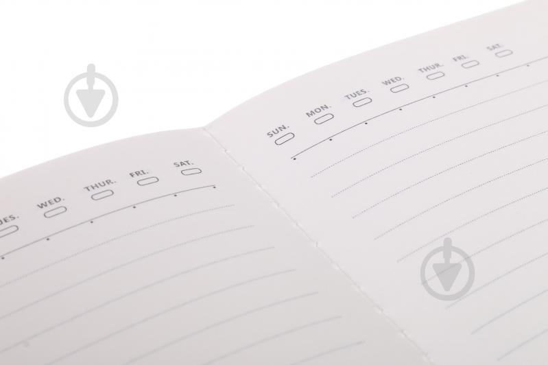 Книга для записей Mint 2 - фото 4