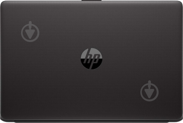 Ноутбук HP 250 G7 15,6" (6UL17EA) black - фото 5