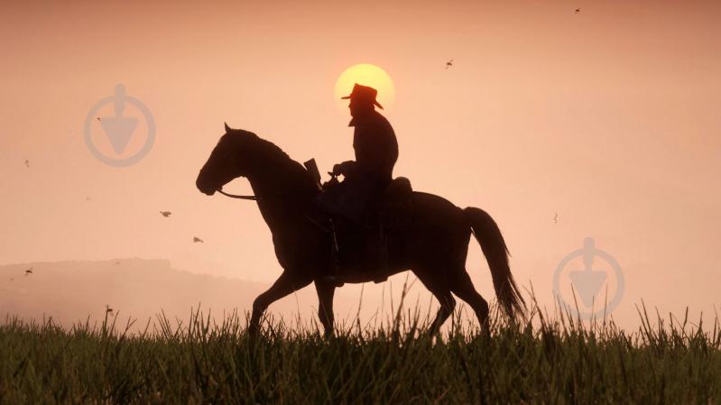 Игра Sony Red Dead Redemption 2 (PS4, русские субтитры) - фото 14