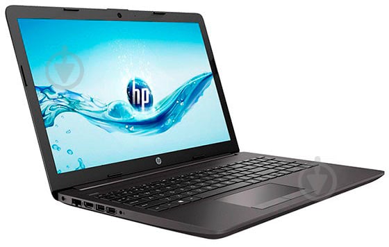 Ноутбук HP 255 G7 15,6" (8MJ23EA) grey - фото 3