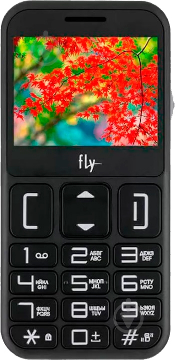 Мобільний телефон Fly Ezzy9 black - фото 1