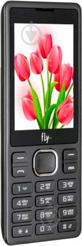 Мобильный телефон Fly FF282 black FF282 Black - фото 3