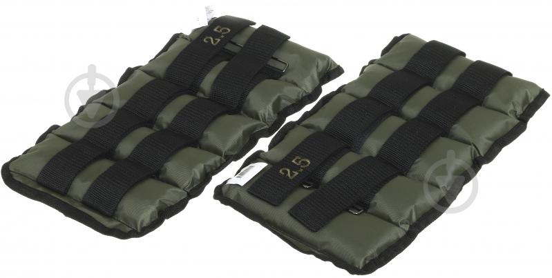 Утяжелители GF Champion 2x2,5 кг - фото 3