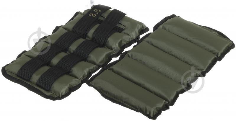 Утяжелители GF Champion 2x2,5 кг - фото 2