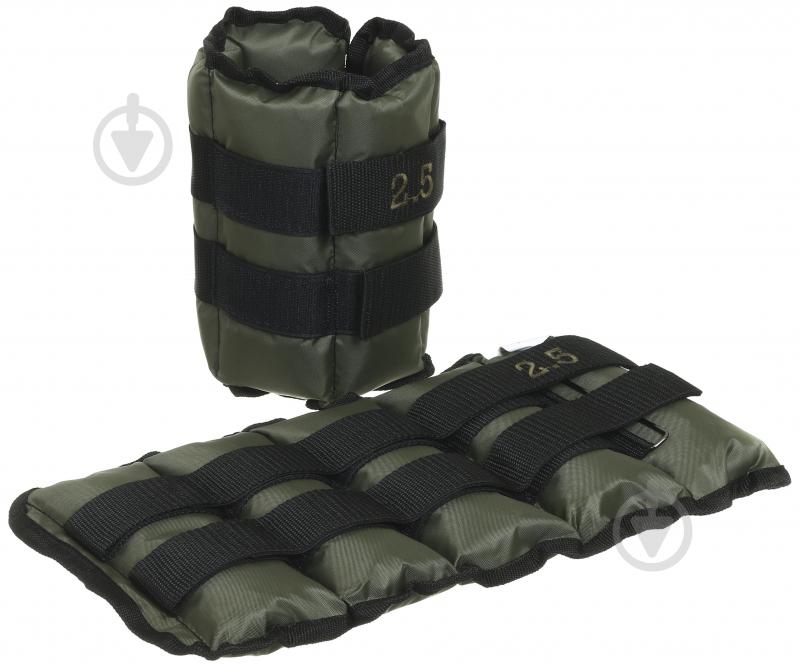 Утяжелители GF Champion 2x2,5 кг - фото 1