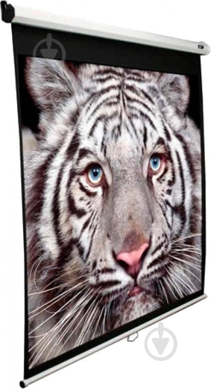 Экран Elite Screens M99NWS1 - фото 3