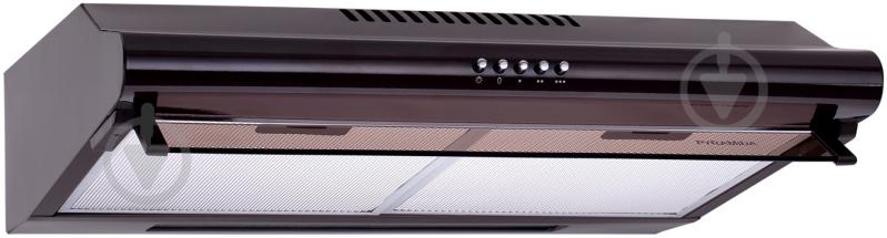 Вытяжка Pyramida WH 22-60 BROWN/N - фото 4