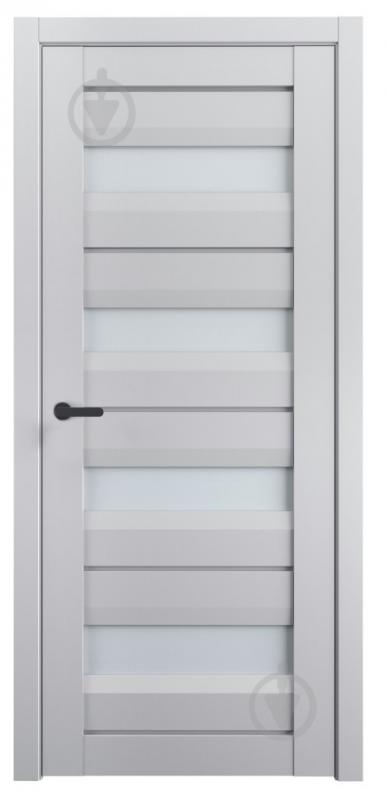 Дверное полотно Термінус №109 ПО 700 мм серый - фото 1