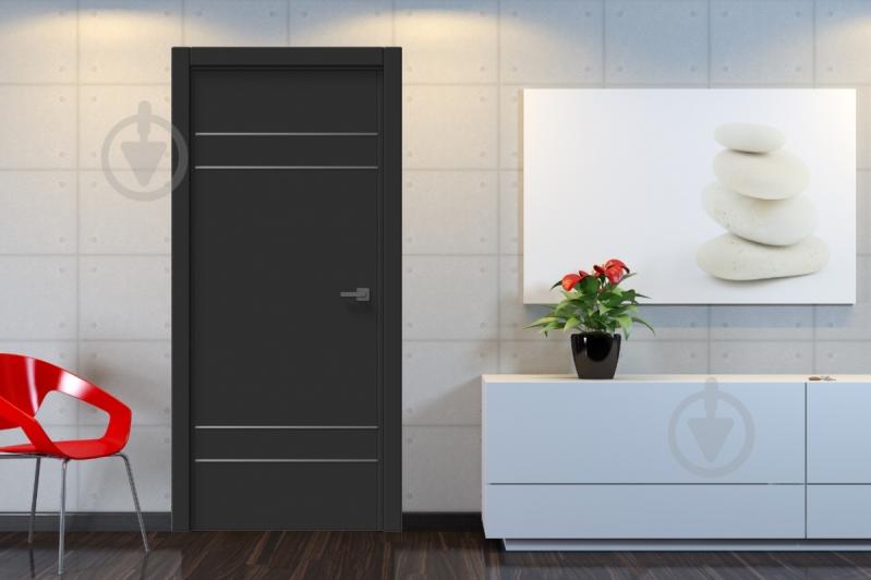 Дверное полотно IN WOOD ET-03 ПГ с черным молдингом и кромкой 800 мм черная корка - фото 2 Дверное полотно IN WOOD ET-03 ПГ с черным молдингом и кромкой 800 мм черная корка - фото 2