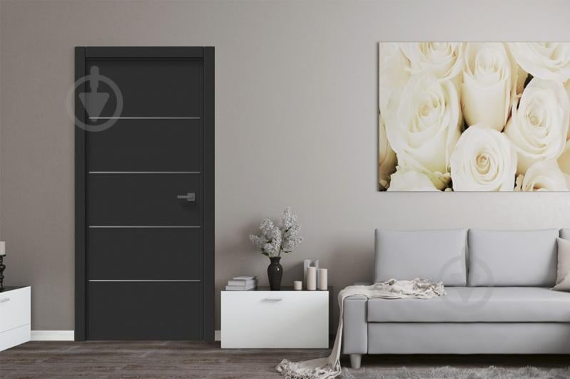 Дверне полотно IN WOOD ET-04 ПГ із чорним молдингом і кромкою 600 мм чорна корка - фото 2 Дверне полотно IN WOOD ET-04 ПГ із чорним молдингом і кромкою 600 мм чорна корка - фото 2