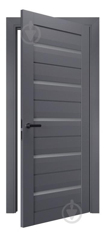 Дверное полотно Термінус №111 ПО 800 мм антрацит - фото 2 Дверное полотно Термінус №111 ПО 800 мм антрацит - фото 2