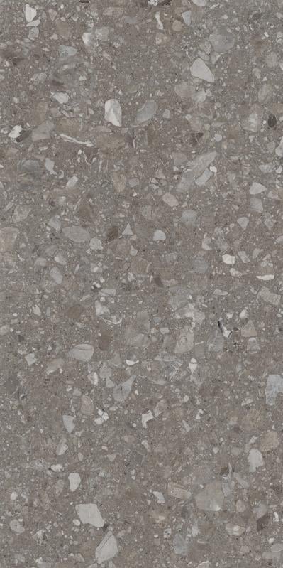 Плитка Allore Group Terra Greige F PC R Sugar 60x120 см - фото 1