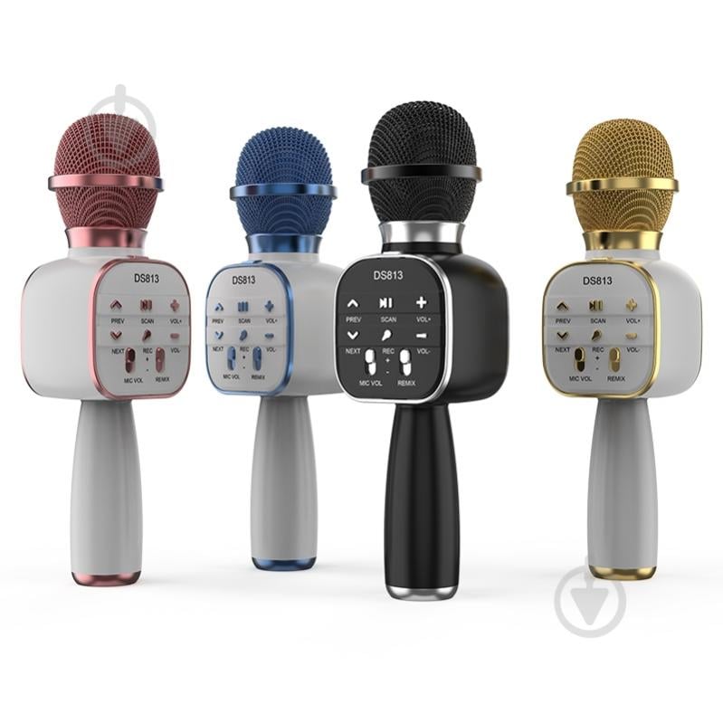 Микрофон Alpha Kids Generation DS813 - фото 1