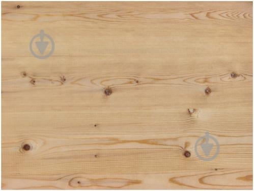 Фанера ФК 2500*1250*10 мм (сорт 4/4) НШ (80510303) - фото 1