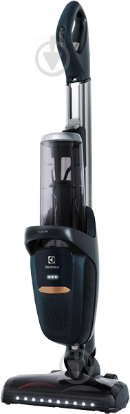 Пилосос акумуляторний Electrolux PF91-4IG black - фото 1