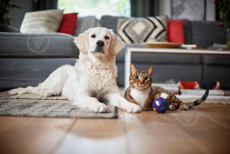 Пылесос Philips FC8296/01 - фото 14