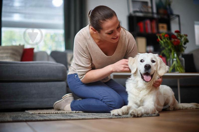 Пылесос Philips FC8296/01 - фото 12
