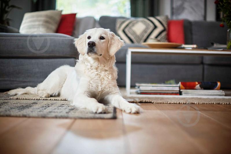 Пылесос Philips FC8296/01 - фото 13