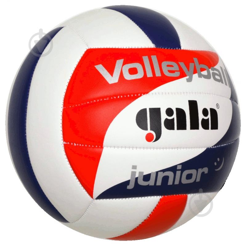 ᐉ Волейбольный мяч Gala Junior BV5093SC бело-голубой р. 4 • Купить в ...