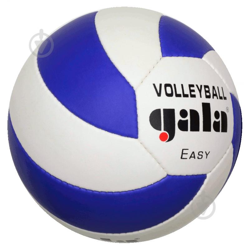 ᐉ Волейбольный мяч Gala Easy BV5083SC бело-голубой р. 4 • Купить в ...