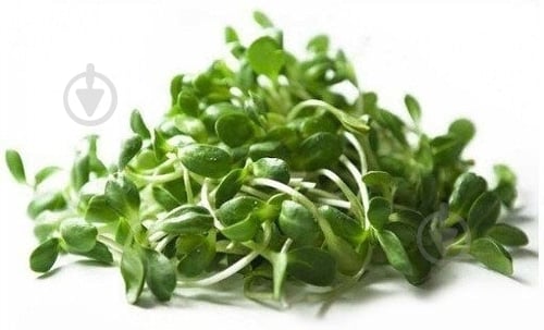 Микрозелень Мікрогрін люцерна 50 гр блистер - фото 1 Микрозелень Мікрогрін люцерна 50 гр блистер - фото 1