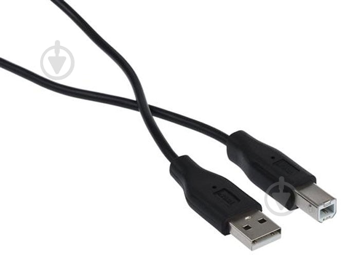 Кабель комп'ютерний зовнішній 2E USB 2.0 AM/BM 1.8 м Black (2E-W-3169m1.8) USB 2.0 – USB Type-B - фото 1