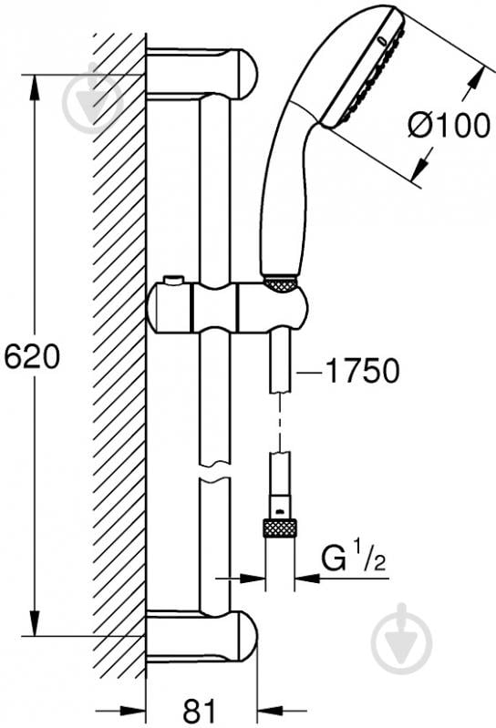 Душевой набор GROHE New Tempesta 100 - фото 2