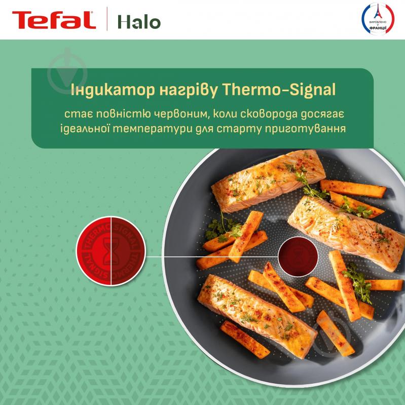 Сковорода Tefal Halo 24 см C3120453 - фото 6