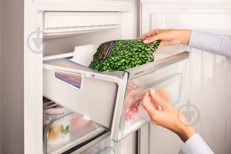 Морозильная камера Liebherr GNP 3755 - фото 7 Морозильная камера Liebherr GNP 3755 - фото 7