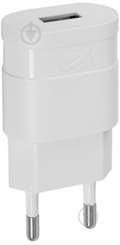 Зарядное устройство RivaCase VA4111 W00 (White) - фото 1