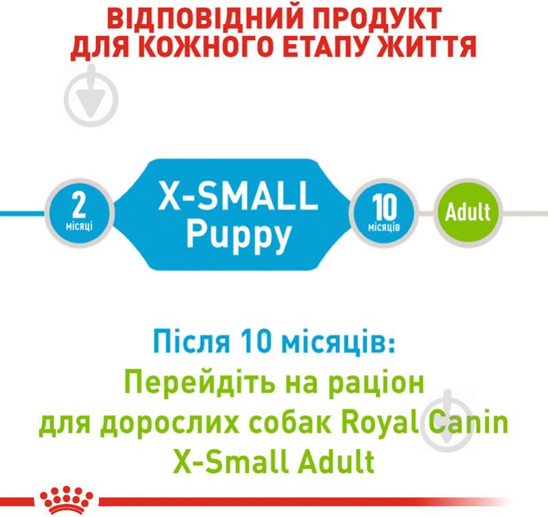 Корм для малых пород Royal Canin для щенков X-SMALL PUPPY 0,5 кг (домашняя птица, рис, кукуруза) 500 г - фото 3