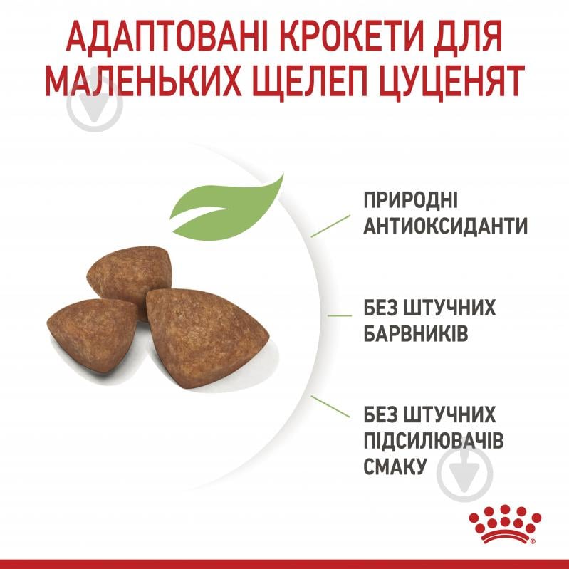 Корм сухий для цуценят для малих порід Royal Canin X-SMALL PUPPY 1,5 кг (свійська птиця, рис, кукурудза) 1,5 кг - фото 6