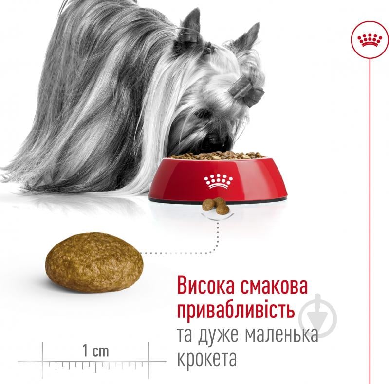 Корм сухой для взрослых собак для малых пород Royal Canin X-SMALL ADULT 0,5 кг (домашняя птица, рис, кукуруза) 500 г - фото 4