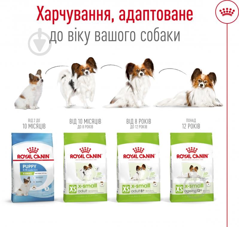 Корм сухой для взрослых собак для малых пород Royal Canin X-SMALL ADULT 0,5 кг (домашняя птица, рис, кукуруза) 500 г - фото 5