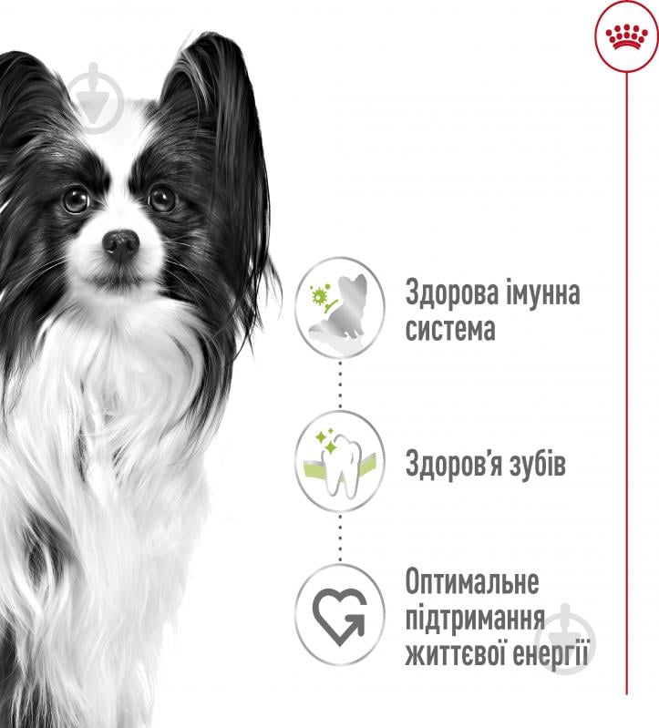 Корм сухой для взрослых собак для малых пород Royal Canin X-SMALL ADULT 0,5 кг (домашняя птица, рис, кукуруза) 500 г - фото 2