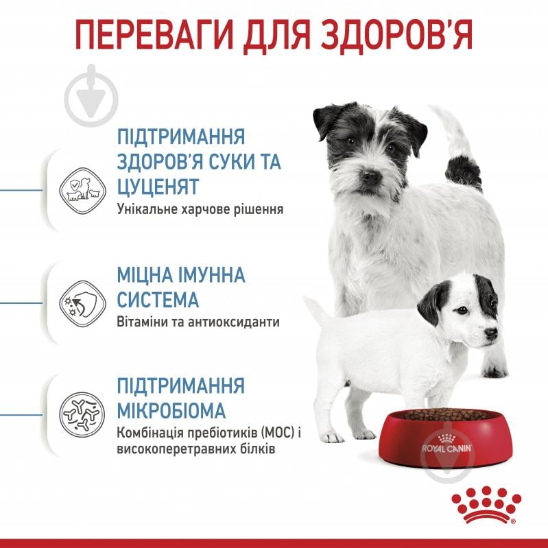 Корм сухий для дорослих собак для малих порід Royal Canin MINI STARTER 1 кг (свійська птиця, рис, кукурудза) 1 кг - фото 5