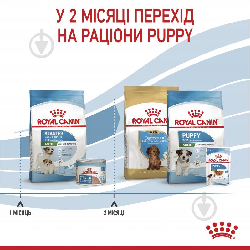 Корм сухий для дорослих собак для малих порід Royal Canin MINI STARTER 1 кг (свійська птиця, рис, кукурудза) 1 кг - фото 7