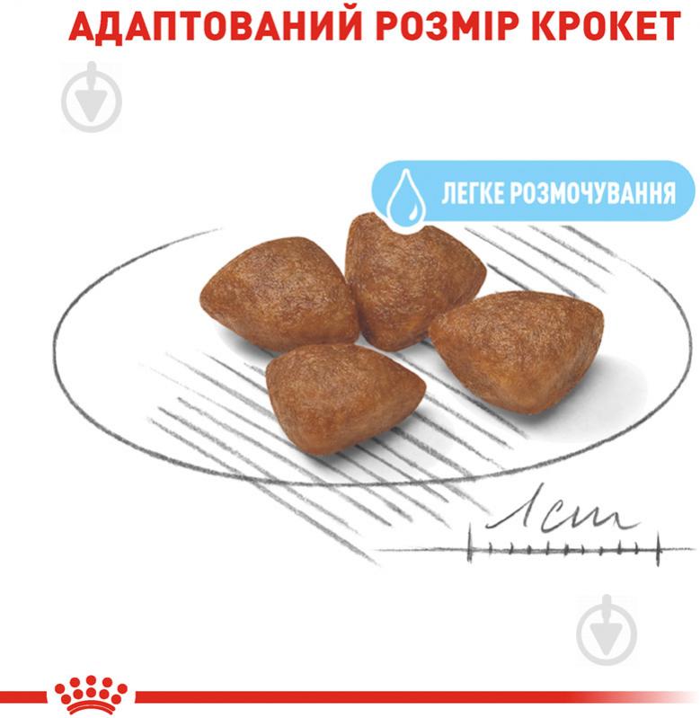 Корм сухой для взрослых собак для малых пород Royal Canin MINI STARTER 3 кг (домашняя птица, рис, кукуруза) 3 кг - фото 4