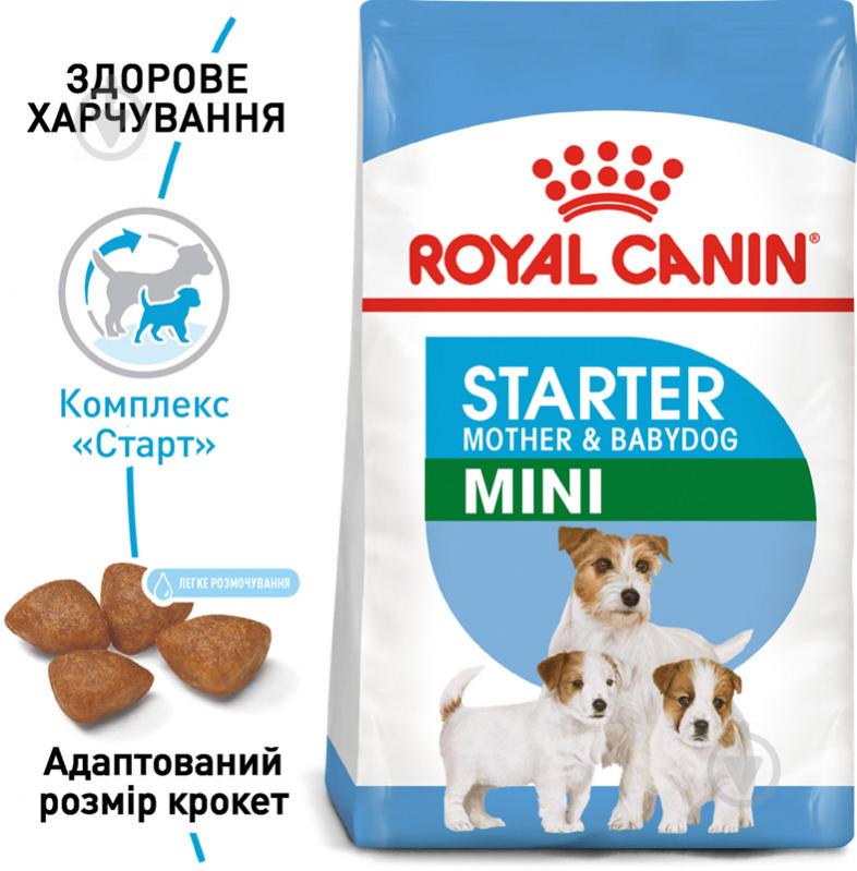 Корм сухой для взрослых собак для малых пород Royal Canin MINI STARTER 3 кг (домашняя птица, рис, кукуруза) 3 кг - фото 2