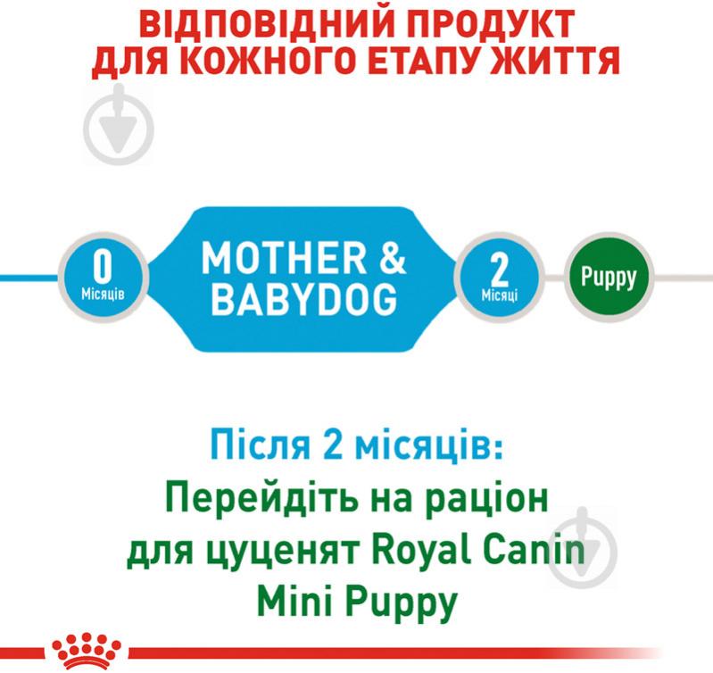 Корм сухой для взрослых собак для малых пород Royal Canin MINI STARTER 3 кг (домашняя птица, рис, кукуруза) 3 кг - фото 3