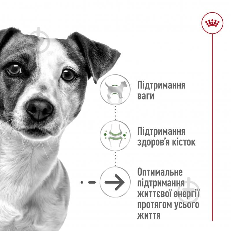 Корм сухой Royal Canin MINI AGEING 12+ 1,5 кг (домашняя птица) 1,5 кг - фото 6 Корм сухой Royal Canin MINI AGEING 12+ 1,5 кг (домашняя птица) 1,5 кг - фото 6