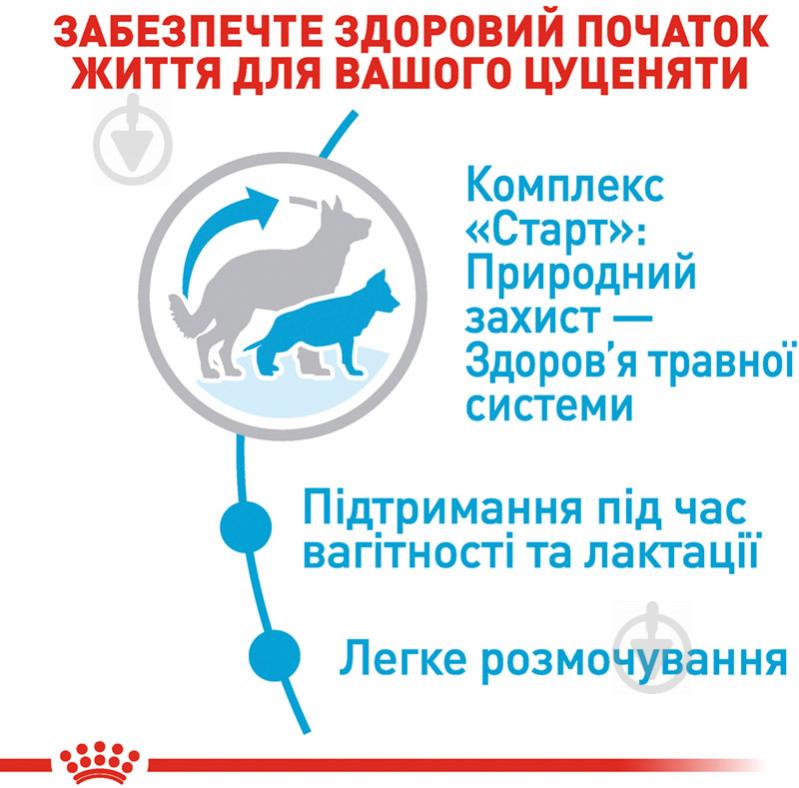 Корм сухий для цуценят для крупних порід Royal Canin MAXI STARTER 1 кг (кукурудза, рис) 1 кг - фото 5