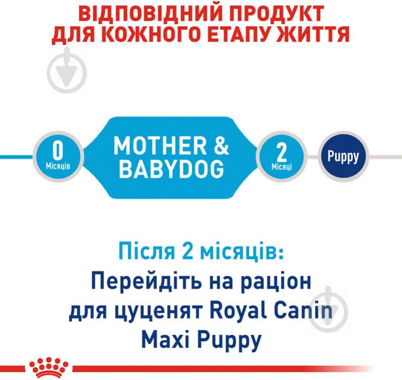 Корм сухий для цуценят для крупних порід Royal Canin MAXI STARTER 1 кг (кукурудза, рис) 1 кг - фото 3