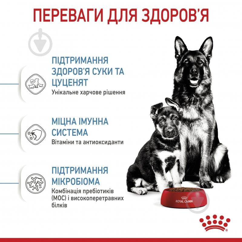 Корм сухий для цуценят для крупних порід Royal Canin MAXI STARTER 4 кг (кукурудза, рис) 4 кг - фото 4