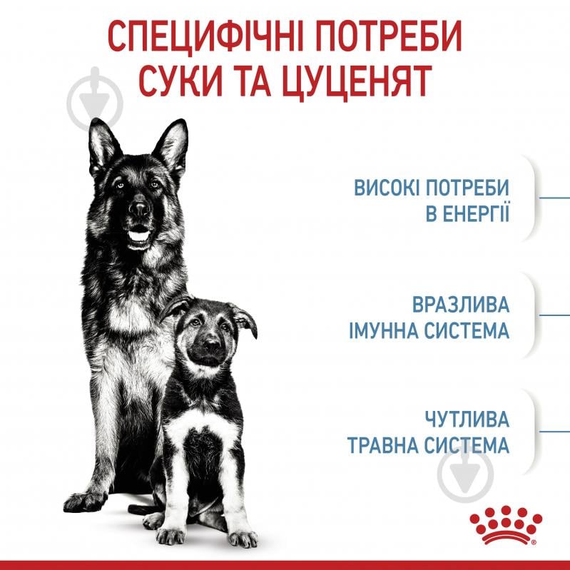 Корм сухий для цуценят для крупних порід Royal Canin MAXI STARTER 4 кг (кукурудза, рис) 4 кг - фото 5