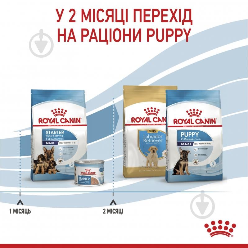 Корм сухий для цуценят для крупних порід Royal Canin MAXI STARTER 4 кг (кукурудза, рис) 4 кг - фото 8