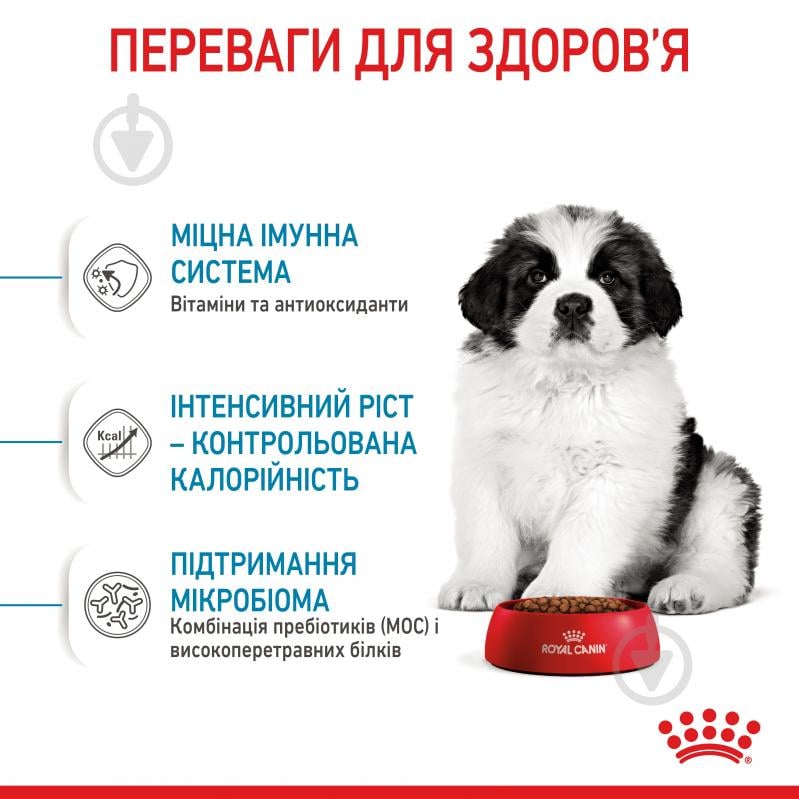 Корм сухий Royal Canin GIANT PUPPY 15 кг (кукурудза, рис) 15 кг - фото 4 Корм сухий Royal Canin GIANT PUPPY 15 кг (кукурудза, рис) 15 кг - фото 4
