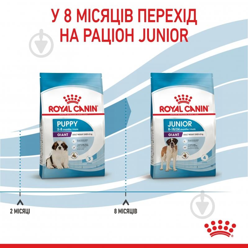 Корм сухий Royal Canin GIANT PUPPY 15 кг (кукурудза, рис) 15 кг - фото 9 Корм сухий Royal Canin GIANT PUPPY 15 кг (кукурудза, рис) 15 кг - фото 9